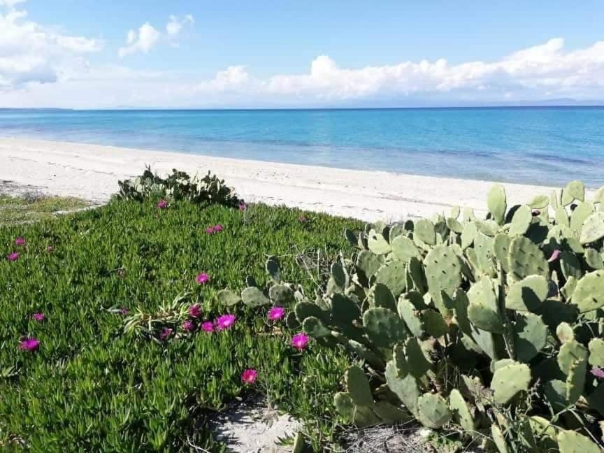 Villa Christina Sea Side A Hanióti Kültér fotó