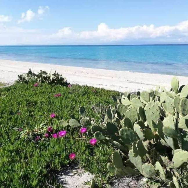 Villa Christina Sea Side A Hanióti Kültér fotó
